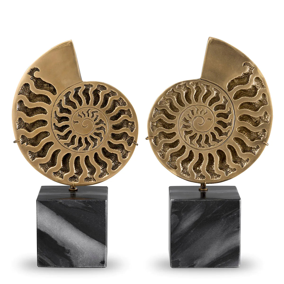 Set 2 piese decorative Amonit