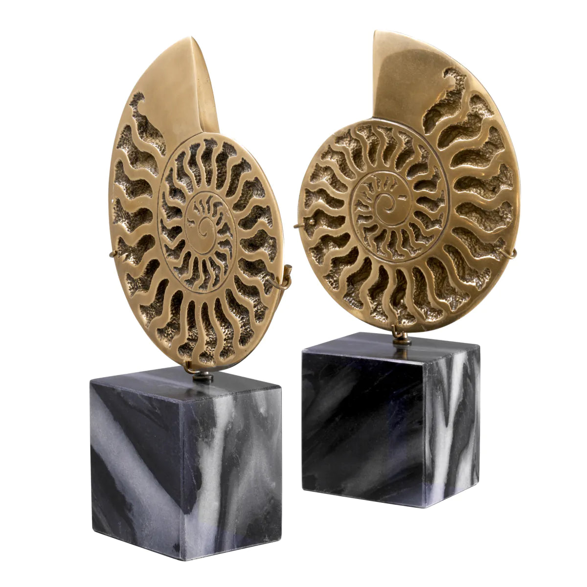 Set 2 piese decorative Amonit