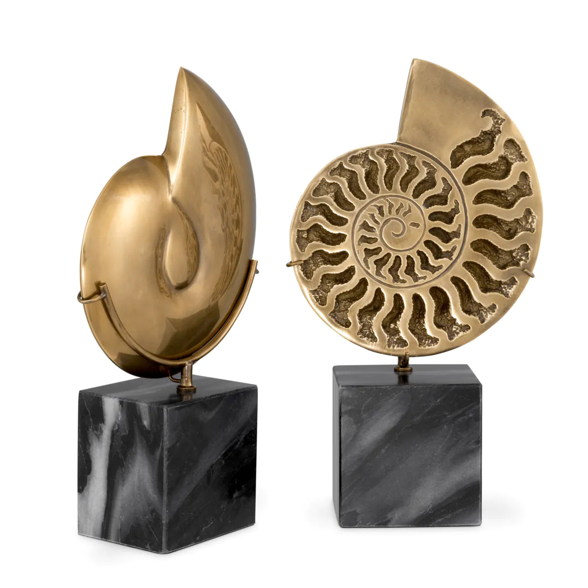 Set 2 piese decorative Amonit