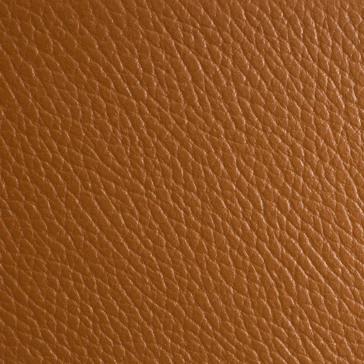 Tavă Butler Monarch