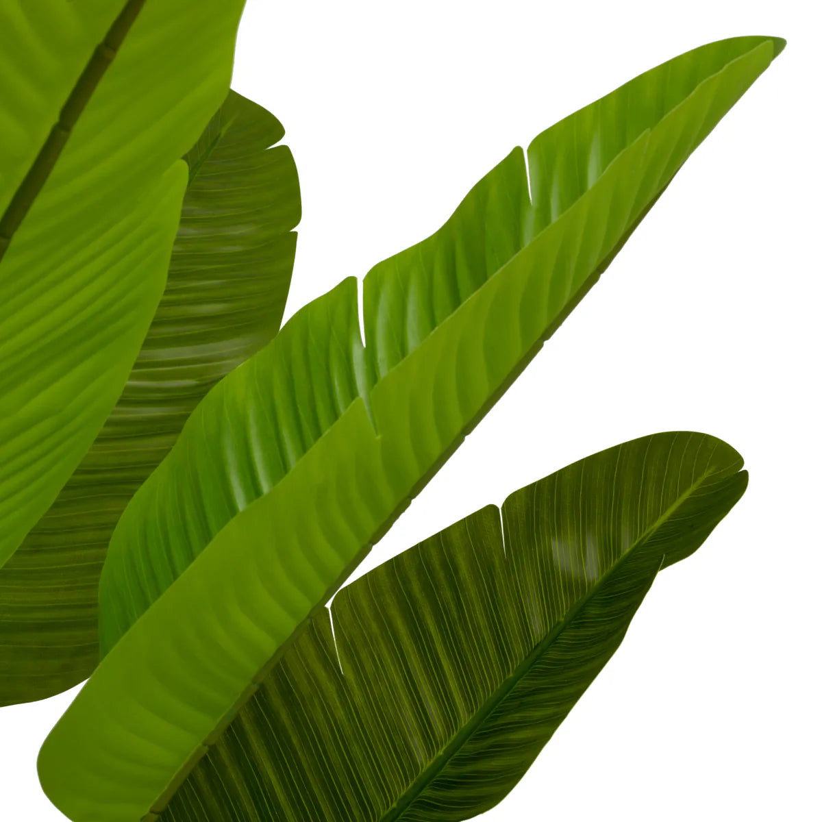 Planta artificiala Strelitzia M