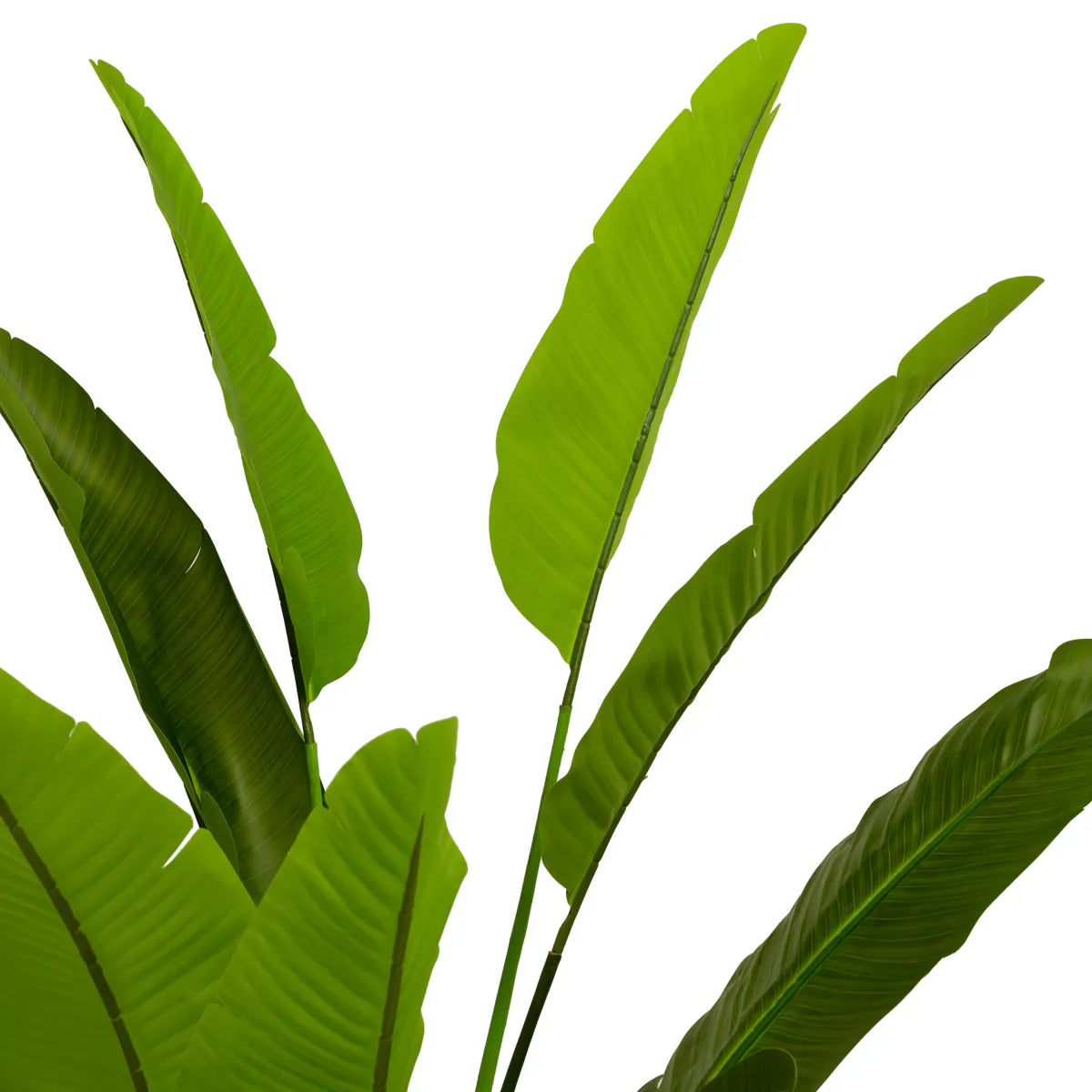 Planta artificiala Strelitzia M