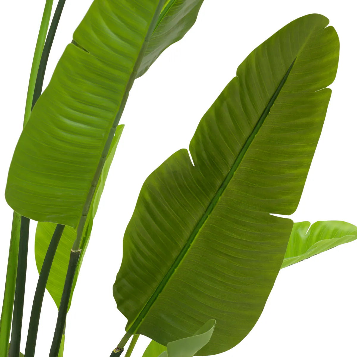 Planta artificiala Strelitzia M