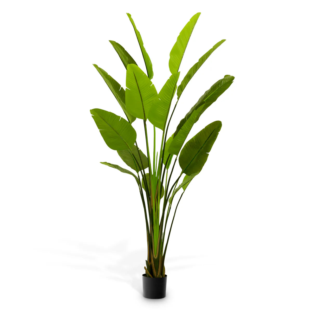 Planta artificiala Strelitzia L