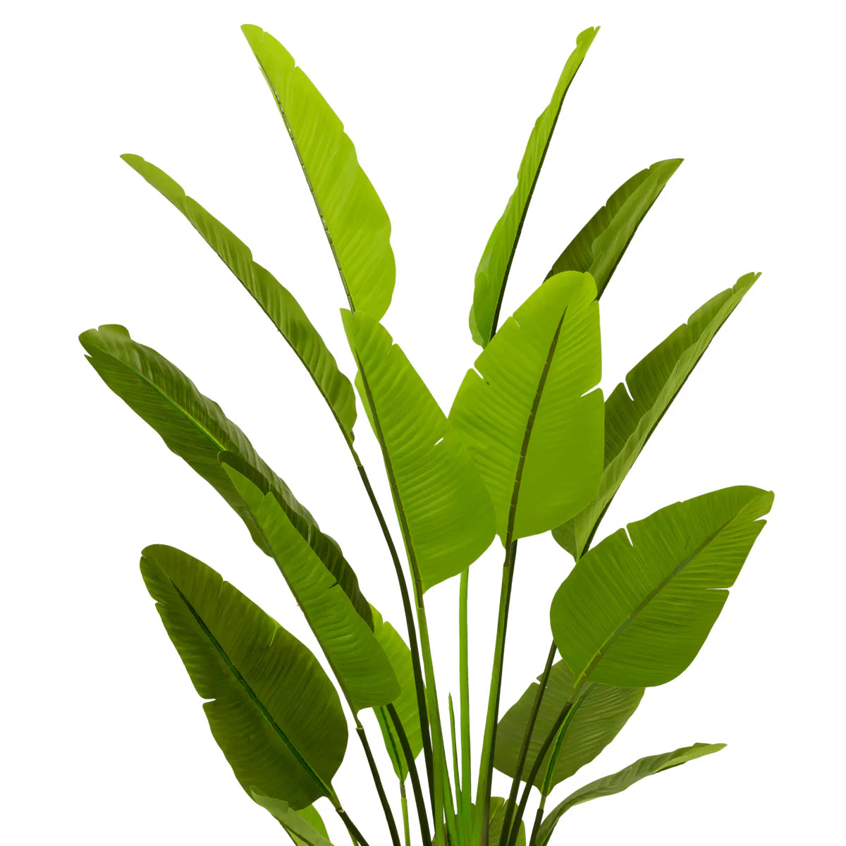 Planta artificiala Strelitzia L