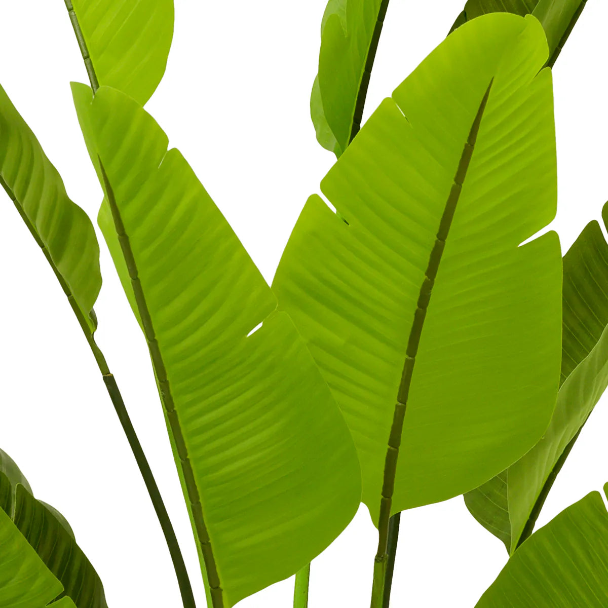 Planta artificiala Strelitzia L