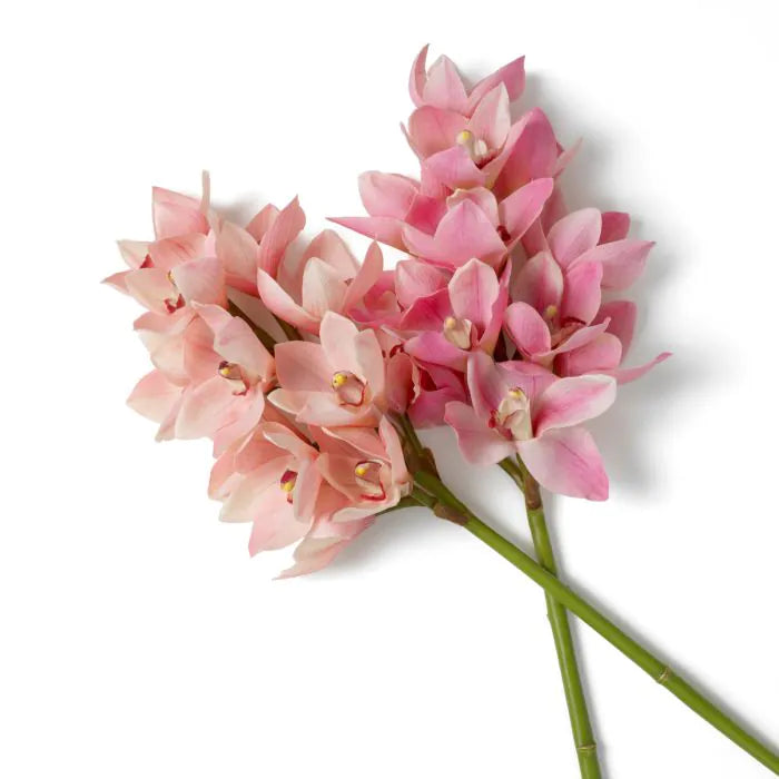 Buchet de orhidee Cymbidium real touch 36 buc