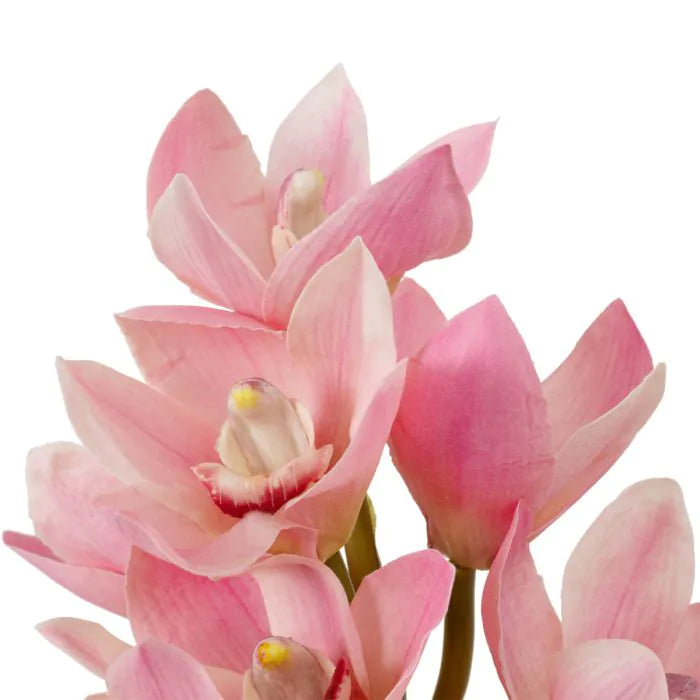 Buchet de orhidee Cymbidium real touch 36 buc