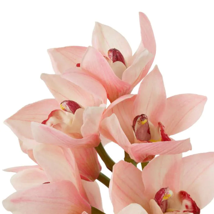 Buchet de orhidee Cymbidium real touch 36 buc