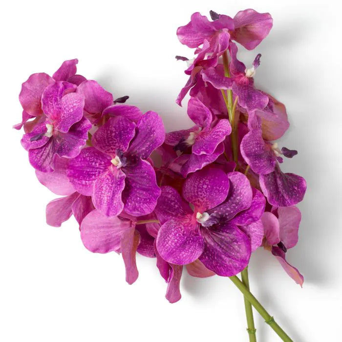 Buchet de Orhidee Vanda real touch 24 buc