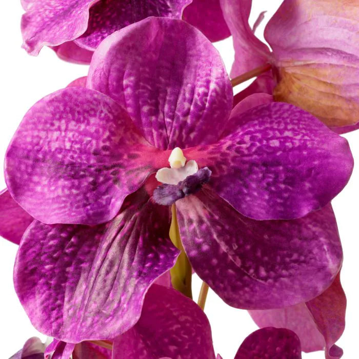 Buchet de Orhidee Vanda real touch 24 buc