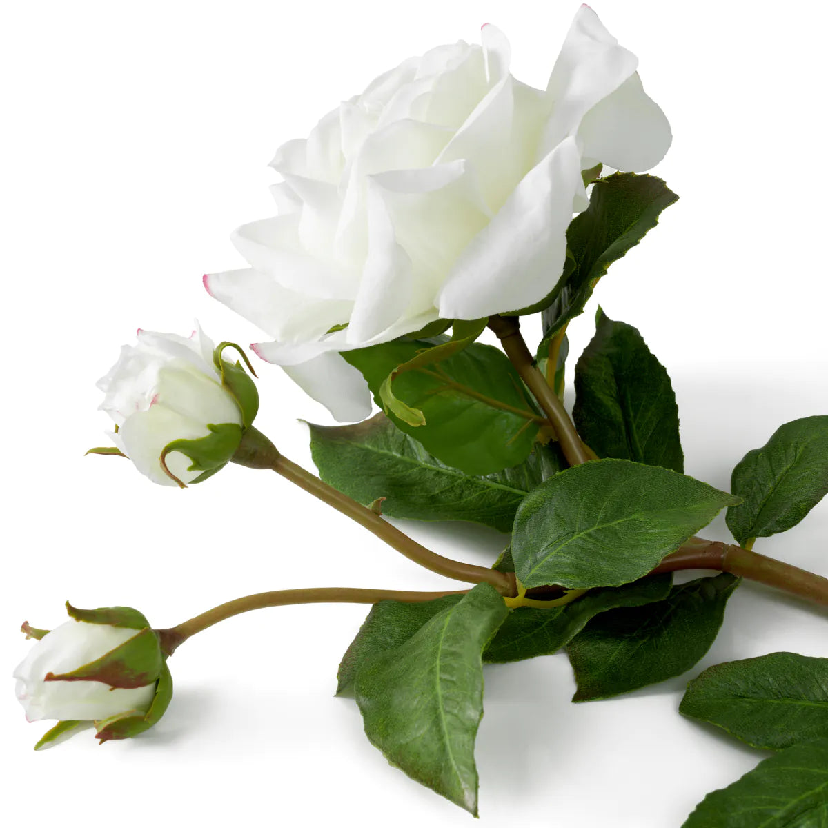 Buchet de trandafiri cu atingere naturală 72 buc/2 varietăți