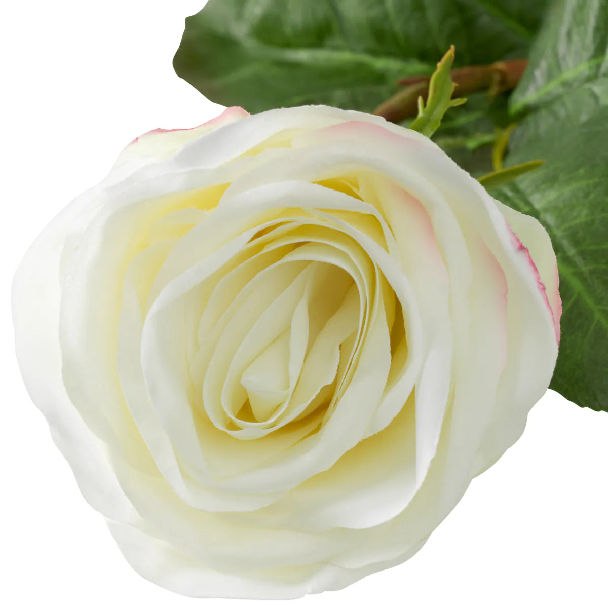 Buchet de trandafiri cu atingere naturală 72 buc/2 varietăți