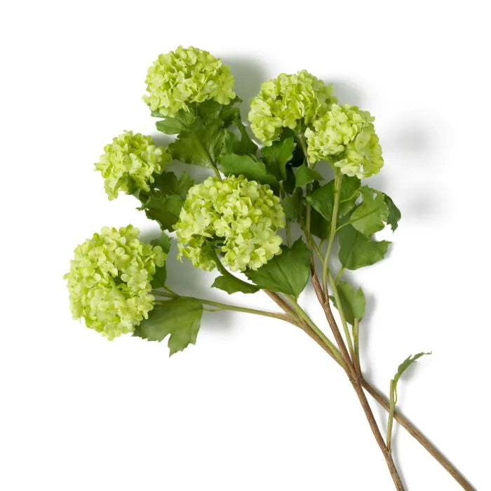 Buchet de hortensii real touch verde 36 buc