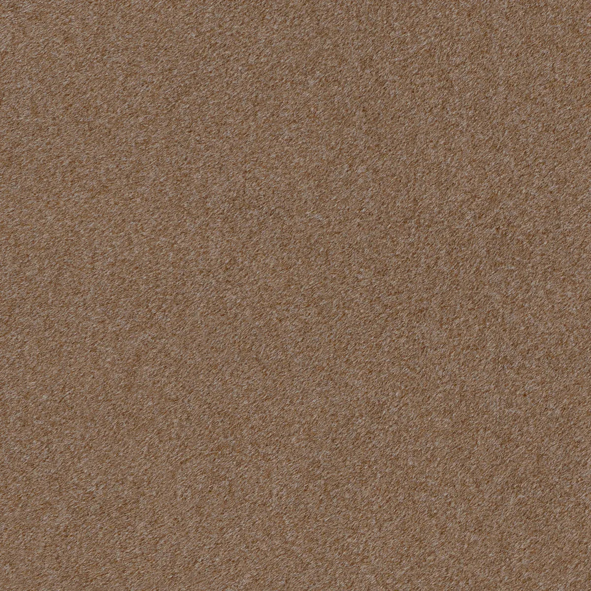 Scaun de dining Costa, cu raft