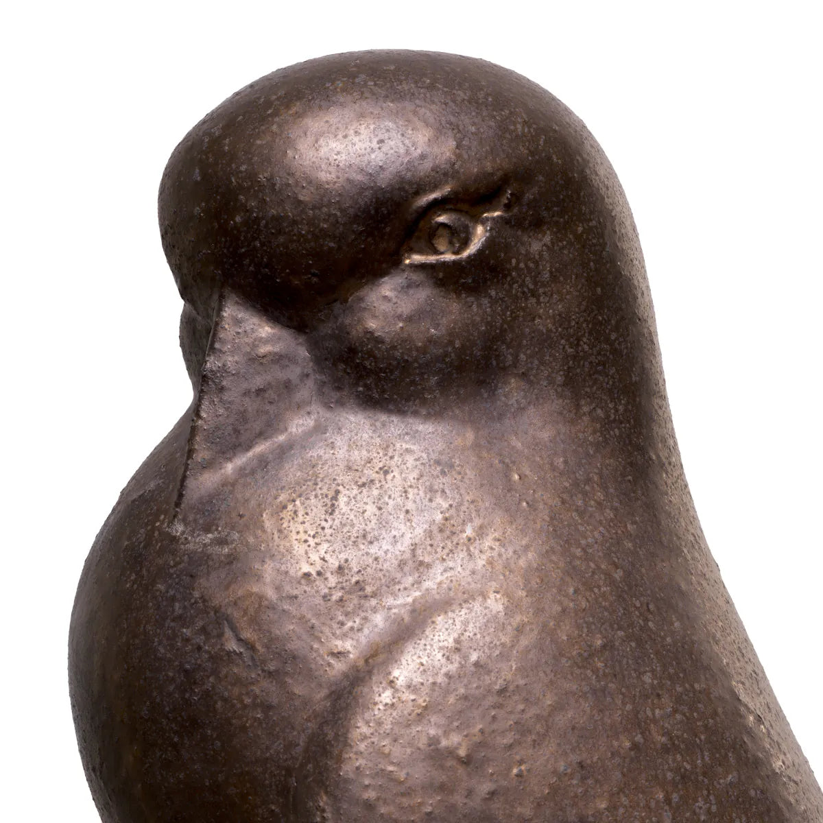 Pasare Dove