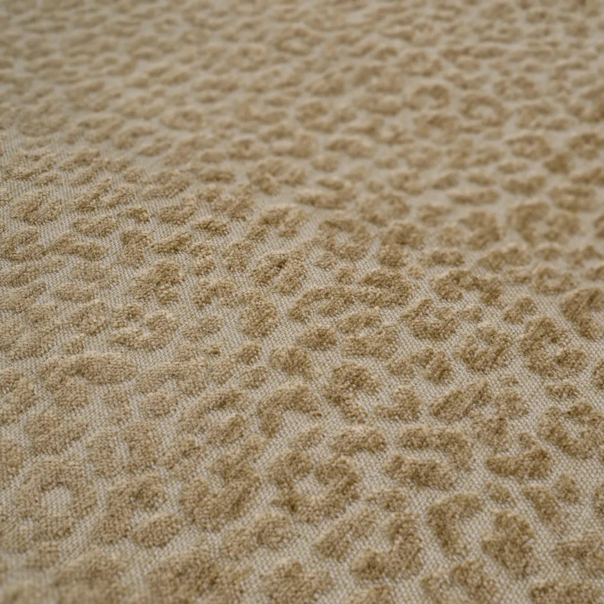 Perna Serlina patrata