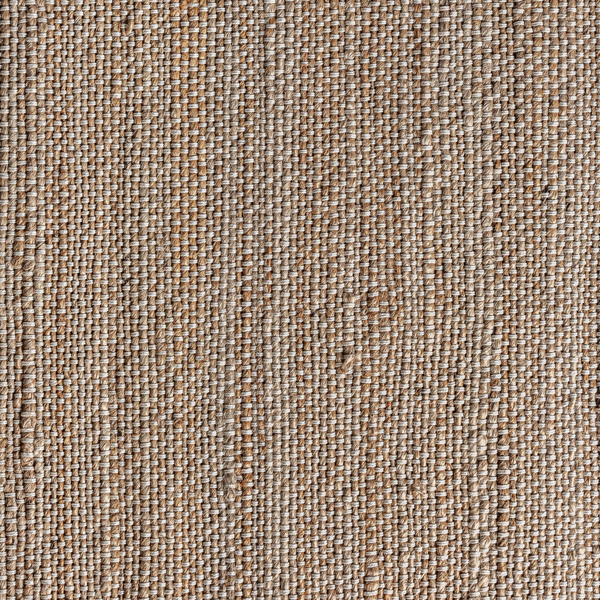 Covor  340x240 Zalika