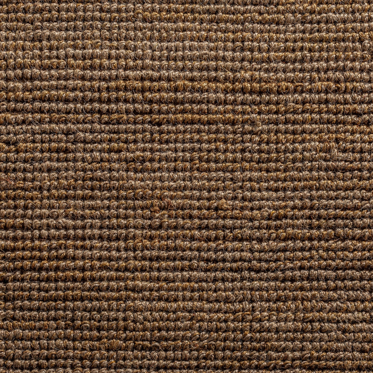 Covor 340x240 Tish
