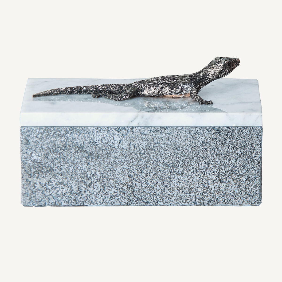 Cutie decorativa Lagarto