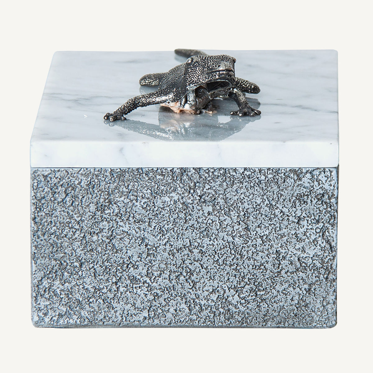 Cutie decorativa Lagarto