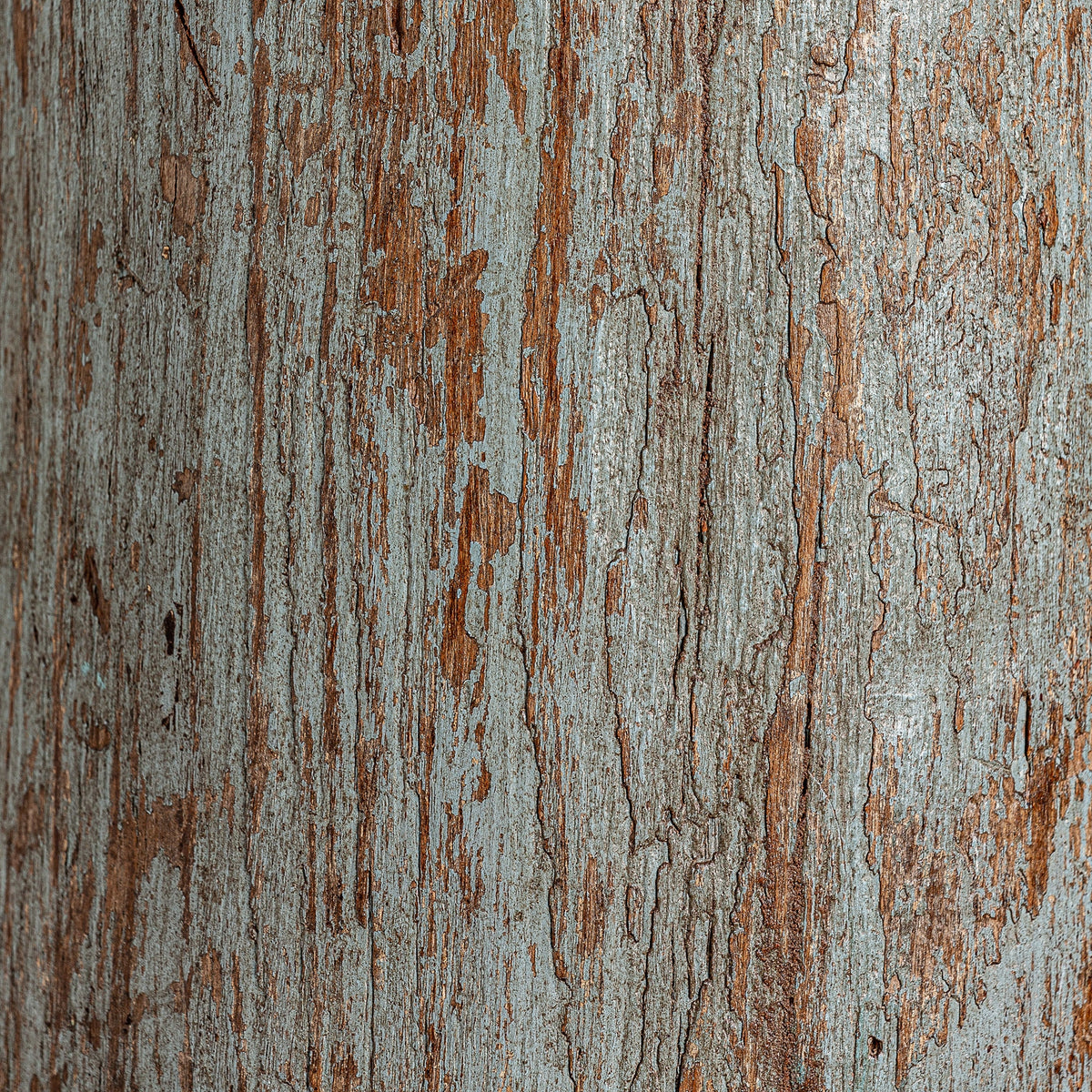 Coloana HADU