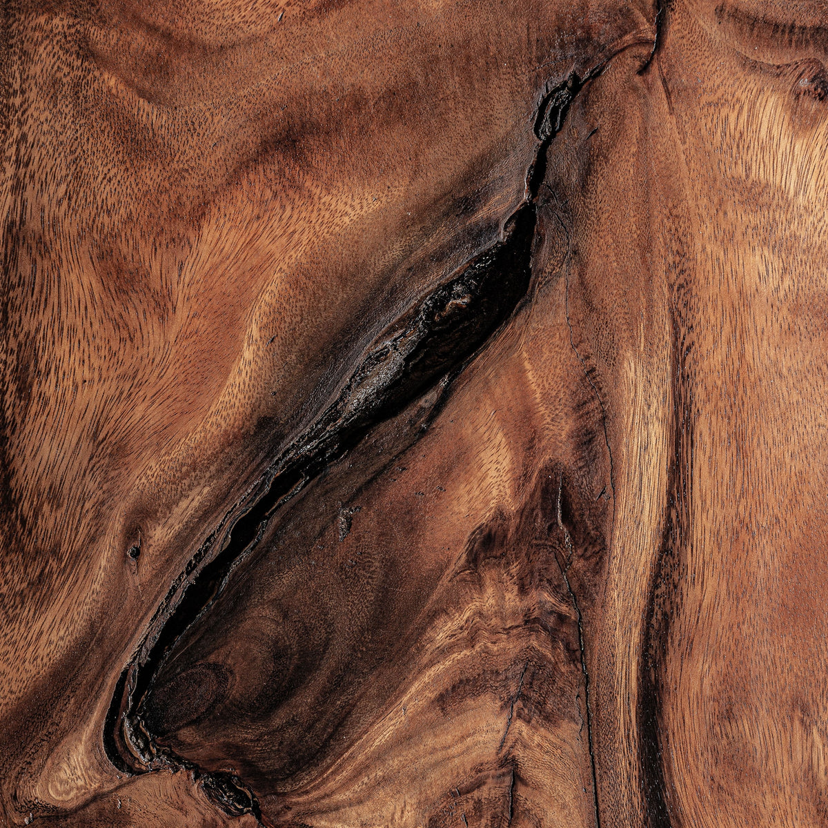 Sculptura PEACK