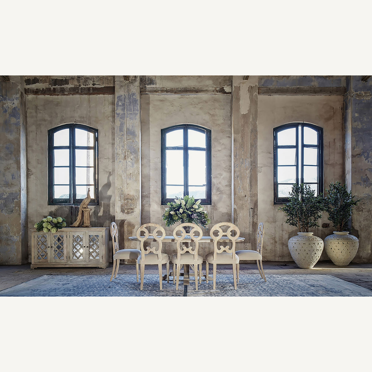 Planta decorativa Olivo