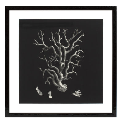 Set 4 Tablouri Print Black & Tan Corals