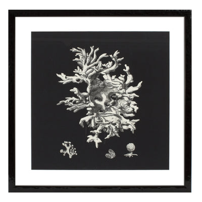 Set 4 Tablouri Print Black & Tan Corals