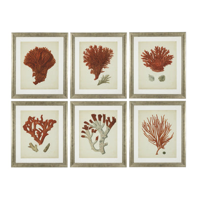 Set 6 Tablouri Print Corali roșii antici