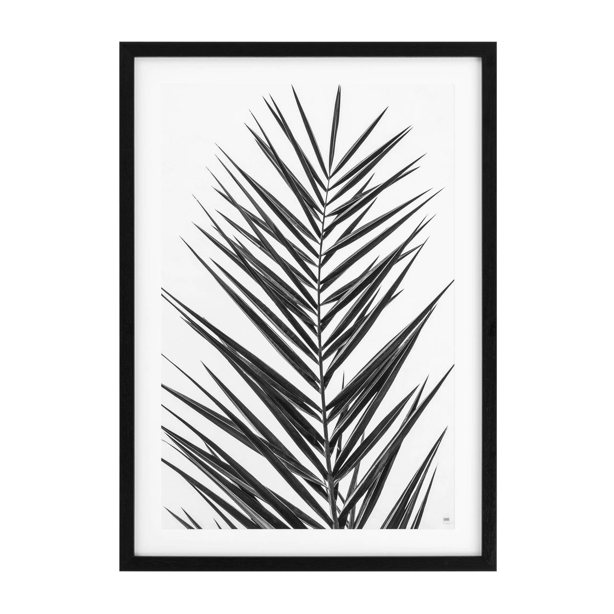 Set 2 Tablouri Print Palm Leaves