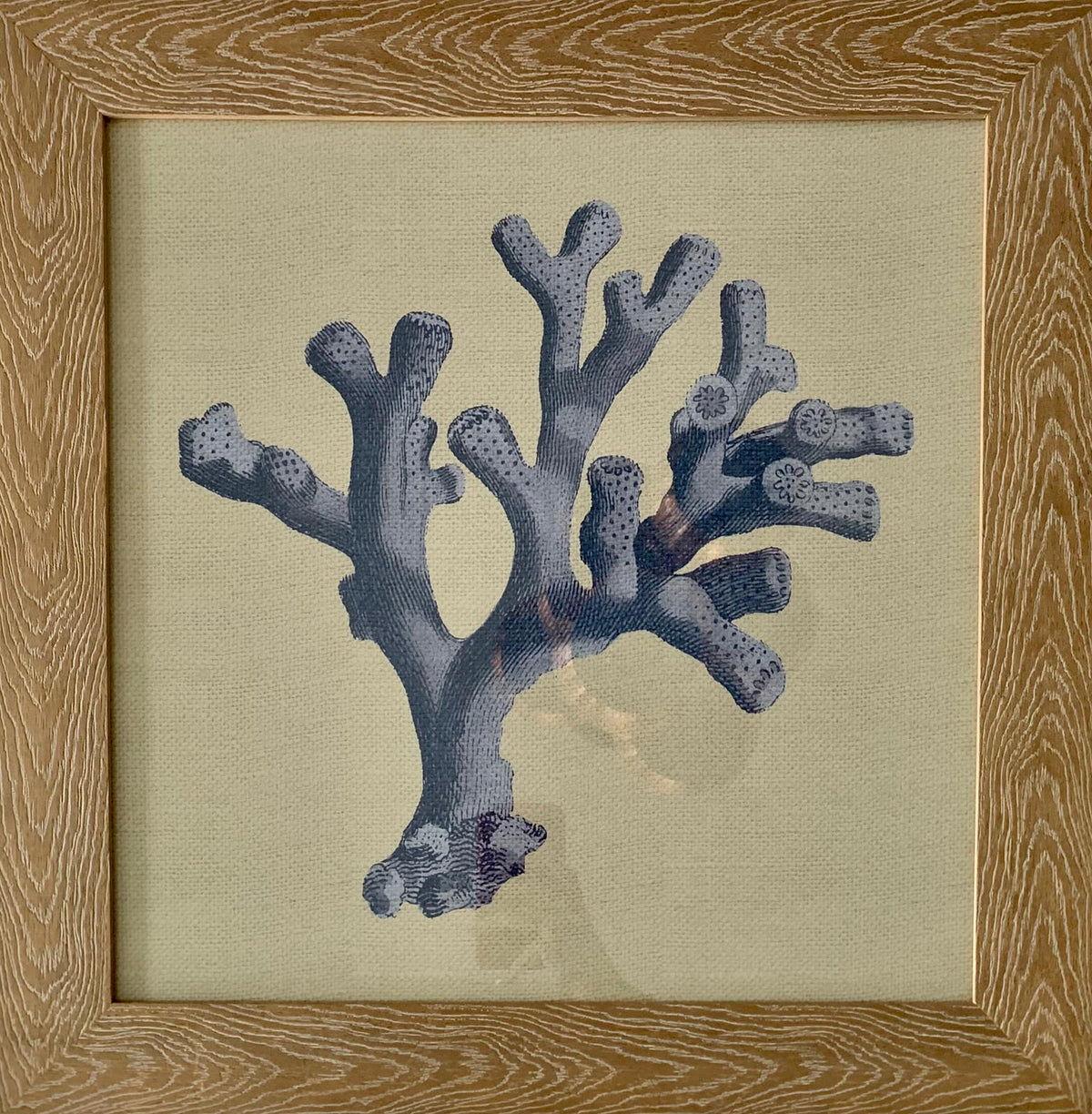 Tablou coral albastru cu rama maro 50x50 cm 4